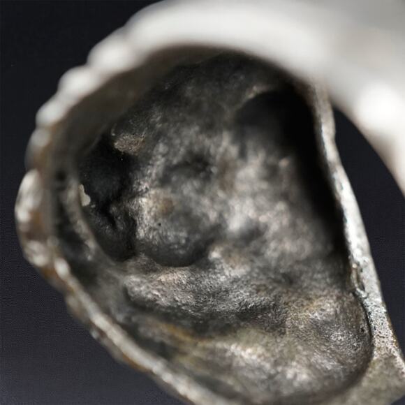 Goth Biker Lion Head Statement Ring Silver Tone Adjustable Open Band Size 9–9.5f - Picture 9 of 12